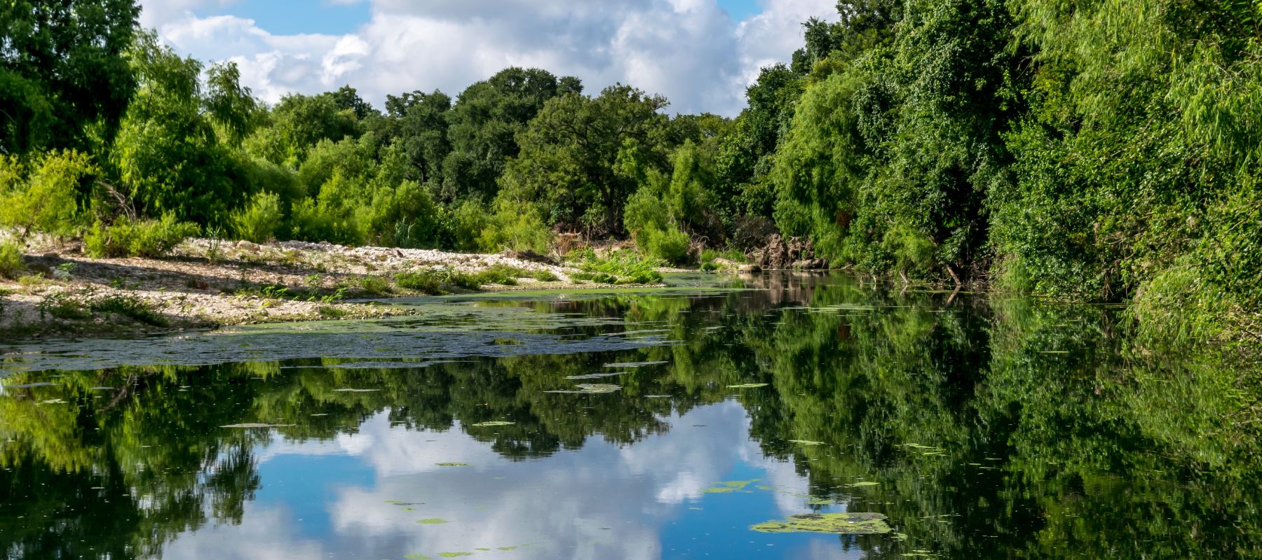 large body of water that looks like a river surrounded by green trees and a blue sky with large white clouds